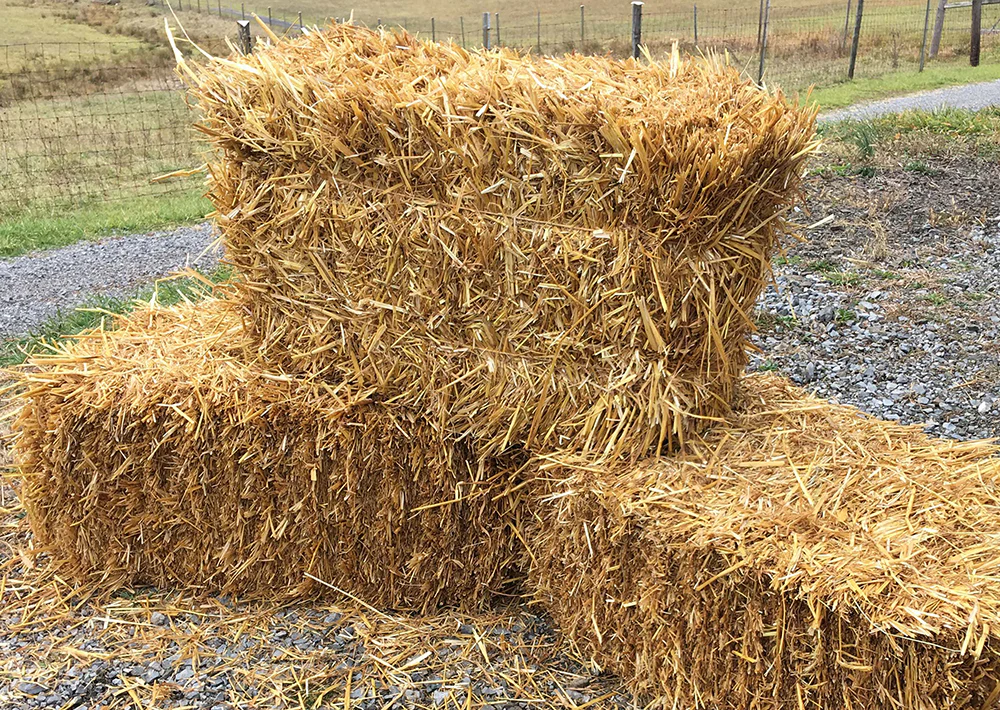 STRAW BALE (Festival)